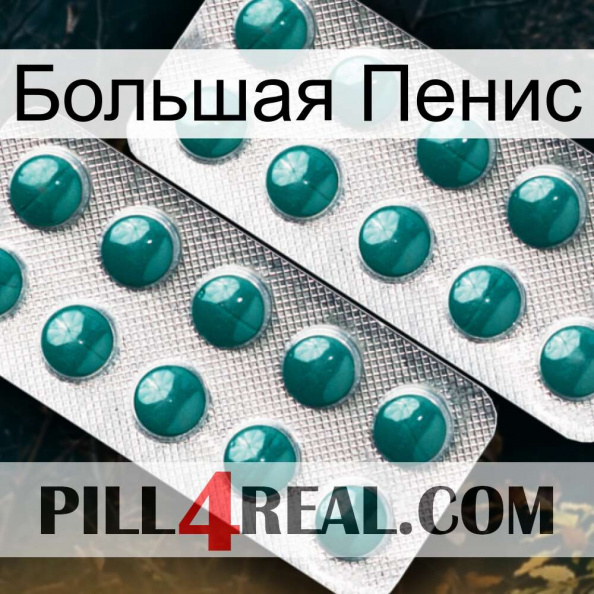 Большая Пенис dapoxetine2.jpg